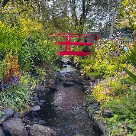 Streamside B And B With Parking Drimoleague ภายนอก รูปภาพ